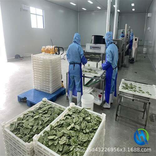 桑叶油炸流水线全自动翠叶加工生产流水线紫苏叶油炸设备生产厂家