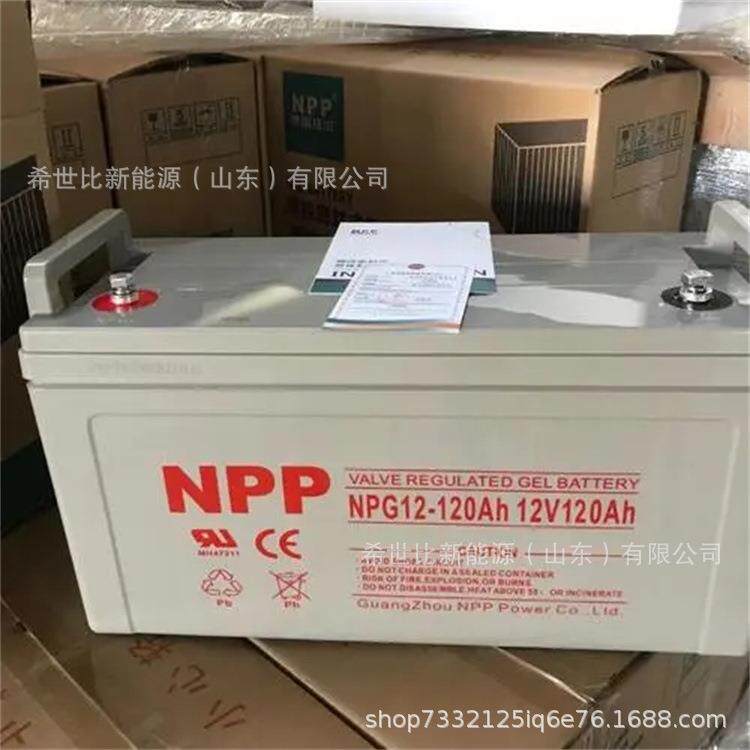 耐普蓄电池NPG12-100AH通讯及电力设备12V100AH弱电机房照明设备