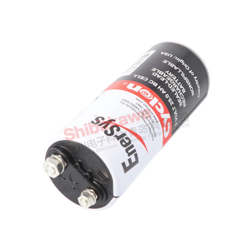 0820-0004 Cyclon EnerSys 西科龙 2V 25Ah 铅酸蓄电池