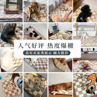 保暖狗室内外冬天用睡觉宠物狗中大型犬狗笼垫子狗窝垫床四季通用
