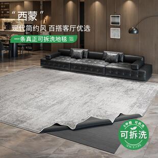 可拆洗地毯客厅意式极简轻奢现代双层可机洗沙发卧室地垫大面积