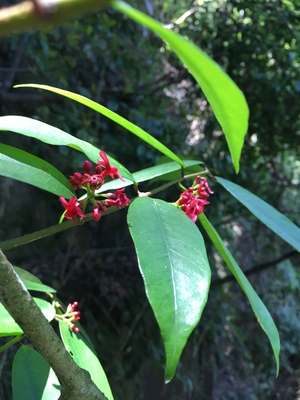 求助曝光真相美的KFR-35GW/WCBD3@空调怎么样?三个月亲身体验感受