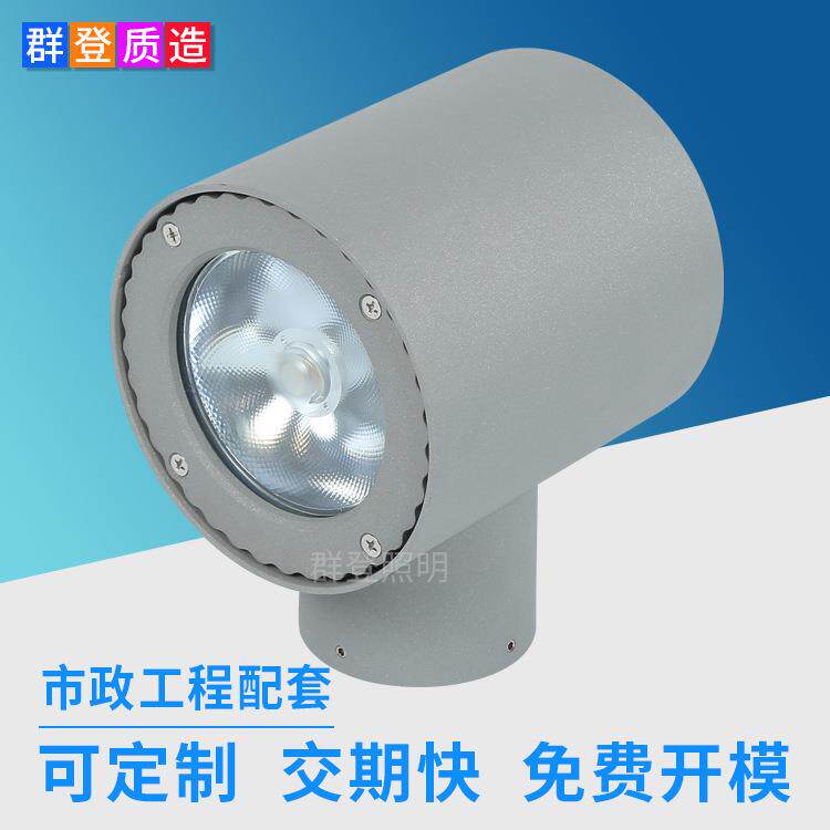 源头厂家20W单向射灯 建筑外墙亮化工程户外防雨圆形led单头壁灯