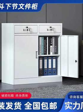 二斗矮柜办公室文件柜铁皮柜钢制车间工具柜抽屉带锁家用储物柜子