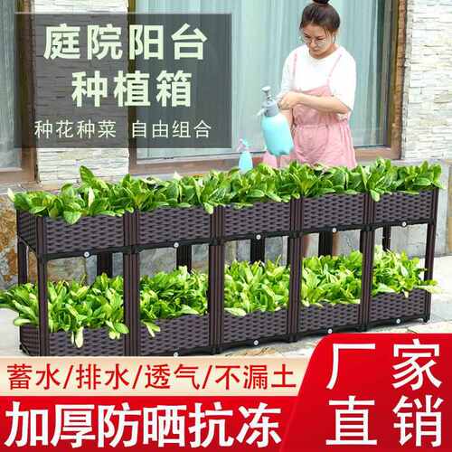 蔬菜种植箱种菜盆种树种花箱阳台庭院加厚塑料蔬菜盆种菜至哲
