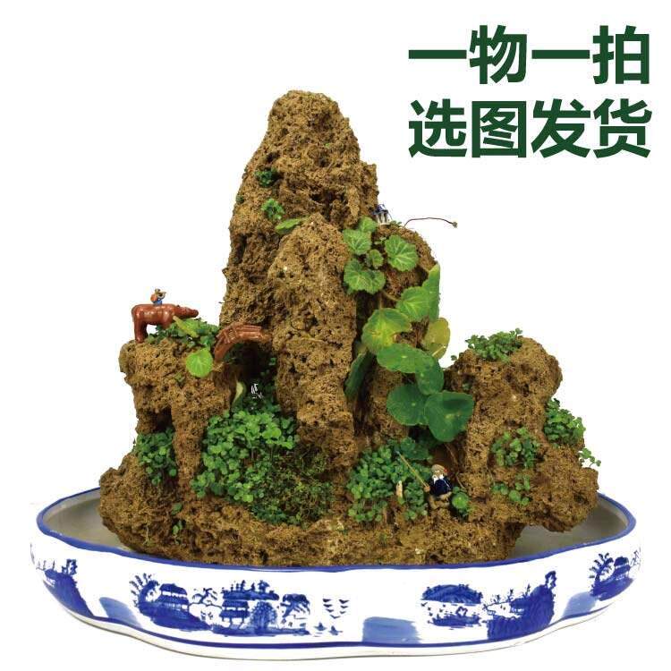 上水石原石吸水石盆景假山石头奇石观赏石水秀石天然微景观造景