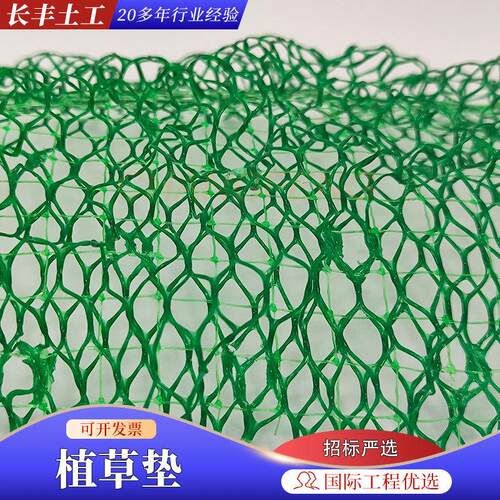 植草网EM2EM3EM4植物护坡固土加筋三维植被网三维土工网垫