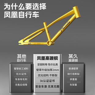 2025新款凤凰牌儿童自行车3-6-8-10-12到15岁小孩男孩女孩单车款