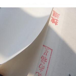 法四尺宣纸白安徽传统手工制作净特净PBW皮宣纸毛笔空字书皮专用