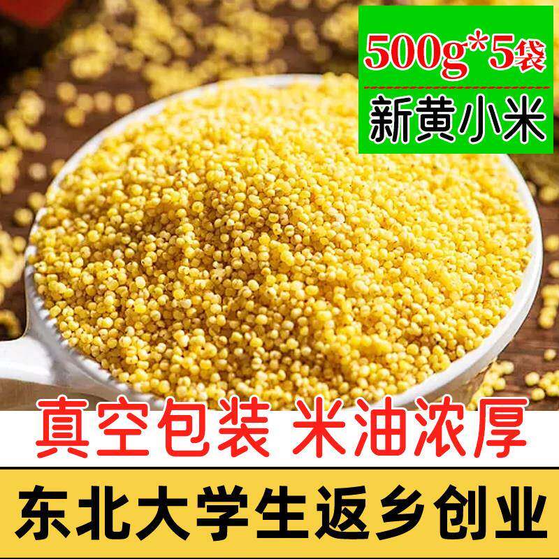 东北黄小米500g油糯醇香应季新米真空包装农家自产米油丰富小米粥