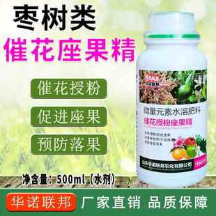 枣树座果精枣树促蕾催花授粉座果快速膨大着色增甜防软果防落果