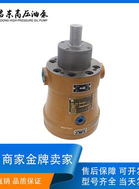 启东高压油泵精工牌YCY/MCY/PCY/SCY14-1B 轴向柱塞泵 定量液压泵