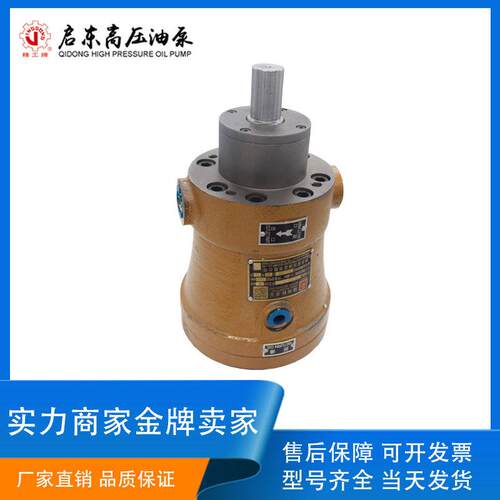 启东高压油泵精工牌YCY/MCY/PCY/SCY14-1B 轴向柱塞泵 定量液压泵