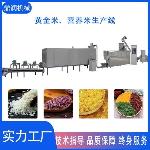 人造米冲泡米营养米产设机备即食米挤饭压DSE-95F膨化营养米膨化