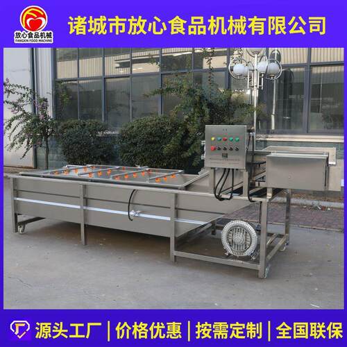 大型蔬菜清洗机 全自动不锈钢气泡清洗机 多功能果蔬喷淋式清洗机