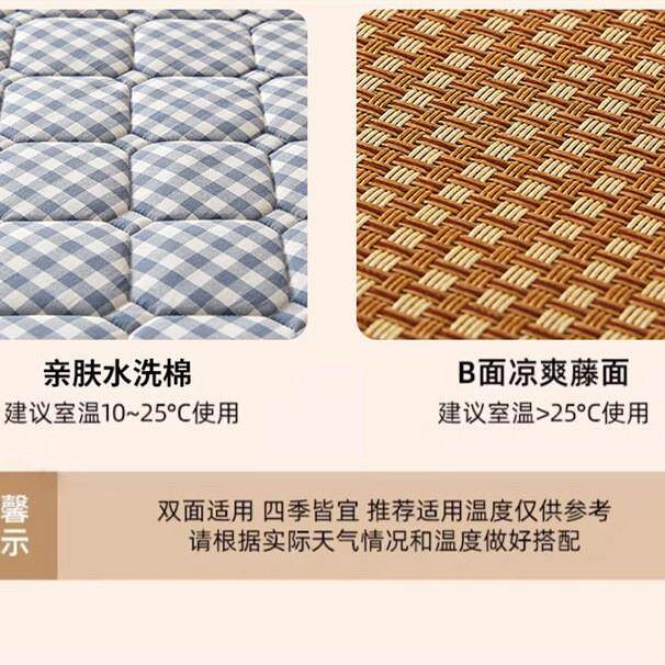 新天款冬夏双面夏用冰藤席季软垫夏冰藤双面凉垫学两生宿舍床褥子