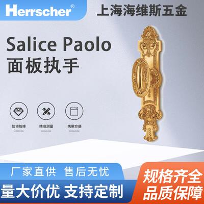 意大利进口Salice Paolo铜面板执手4293酒店住宅入户室内门把手