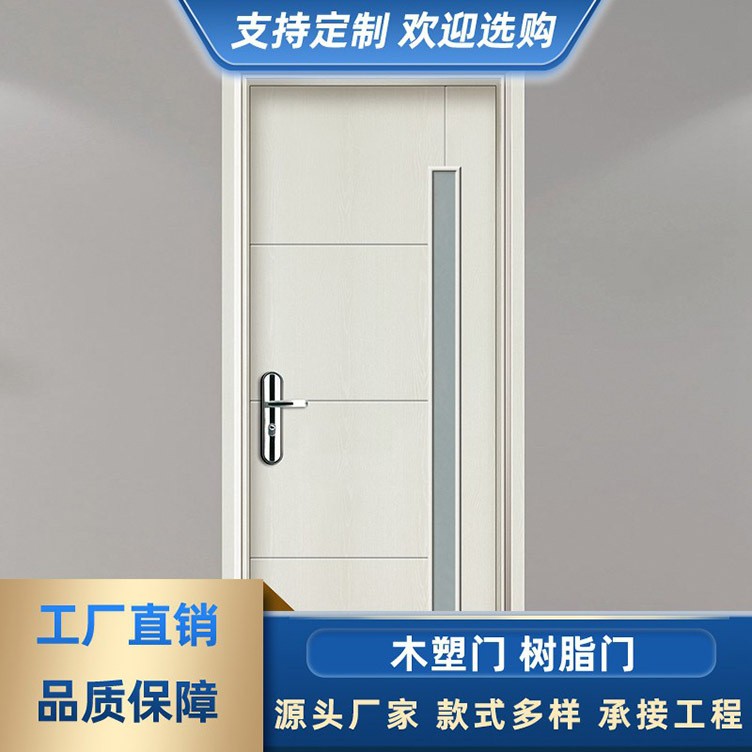 出租房屋进入户树脂门 室内房间卧室防盗安全门 喷塑门铁门阳台门