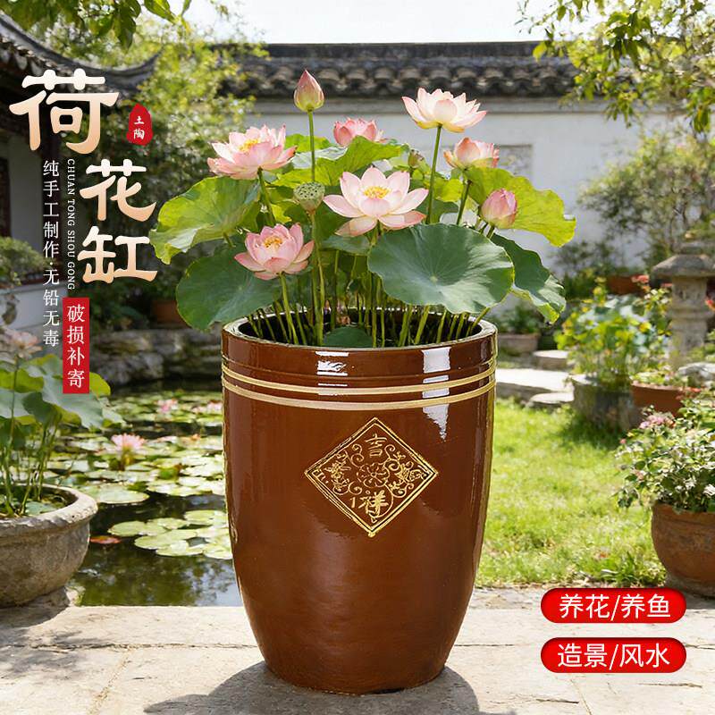 睡莲盆缸陶瓷大缸养碗莲荷花盆户外庭院古法鱼缸大号陶土花盆家用
