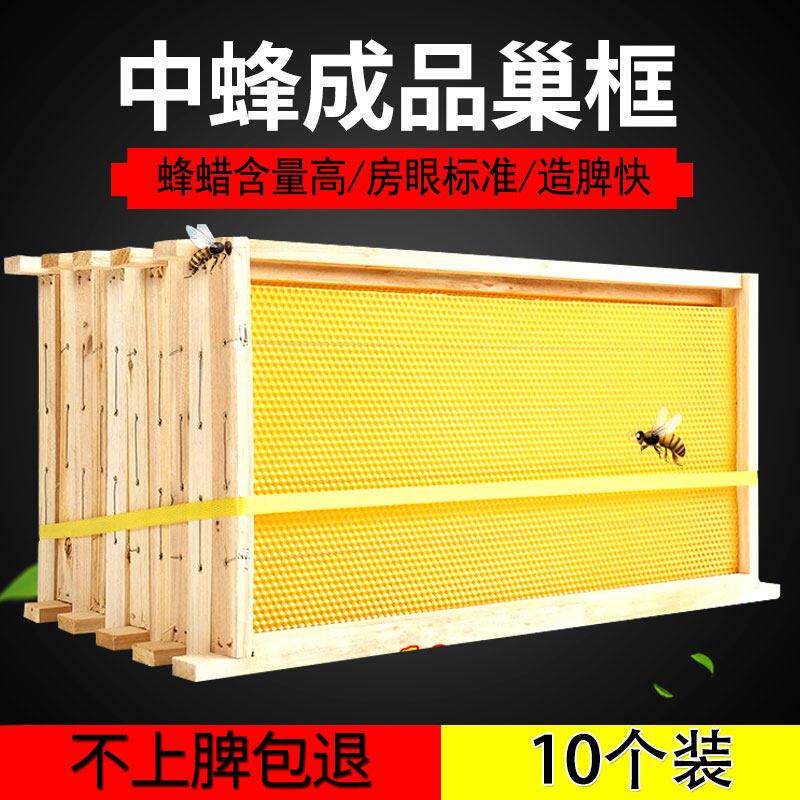 中蜂成品巢框带框巢础巢基蜂脾蜜蜂箱巢框蜂脾框架养蜜蜂10个装