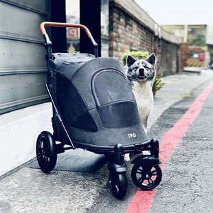R6中大型宠物推车轻便可折叠遛狗狗猫宠物车老年犬外出 BebeRoad