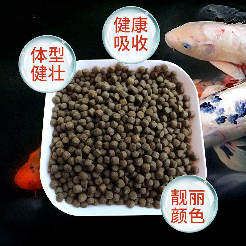 新款直销锦鲤饲料10公斤主食育成色扬锦鲤鱼粮上浮增体增色锦鲤鱼