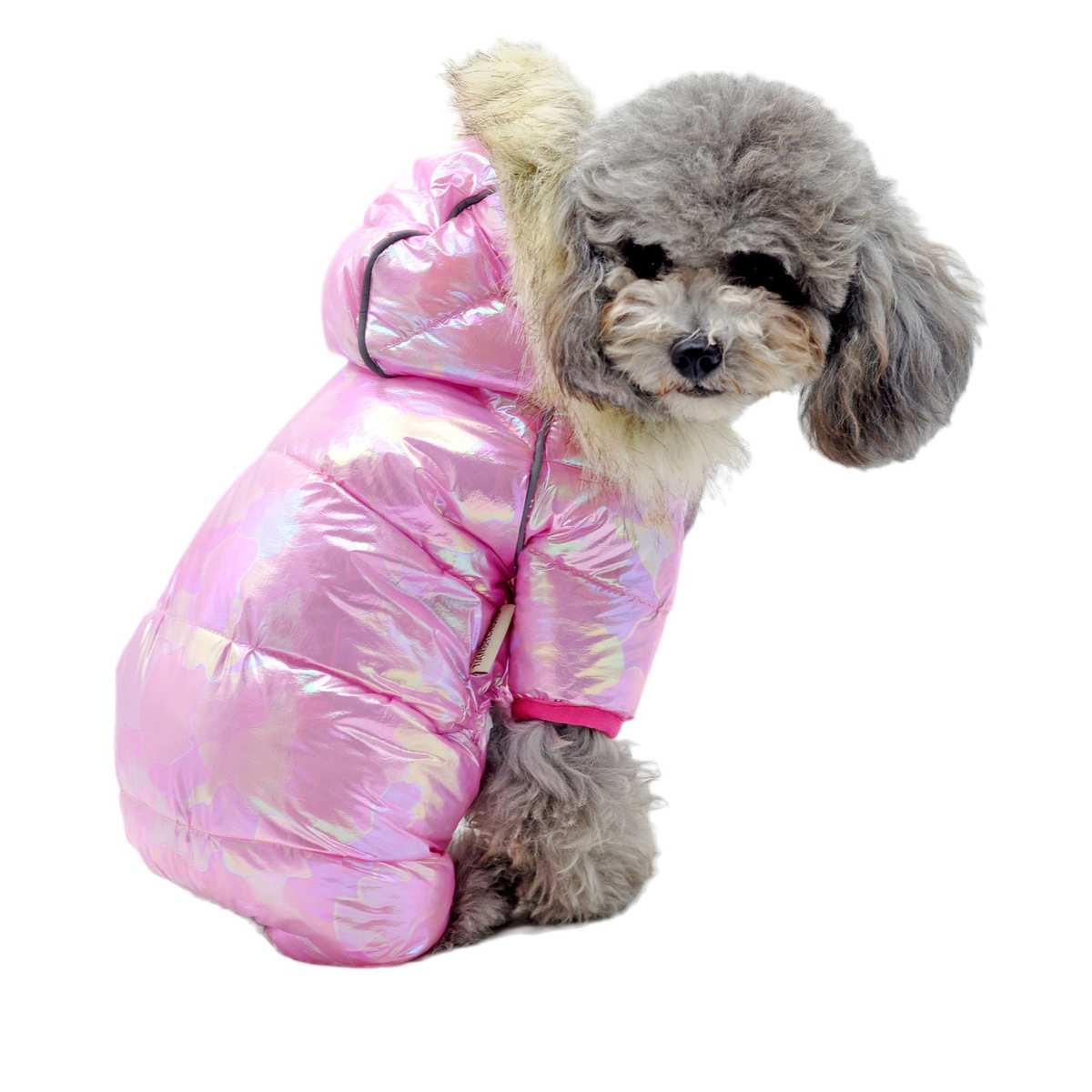 狗狗羽绒棉服保暖带帽子泰迪比熊柯基小型犬冬季四脚加厚衣服