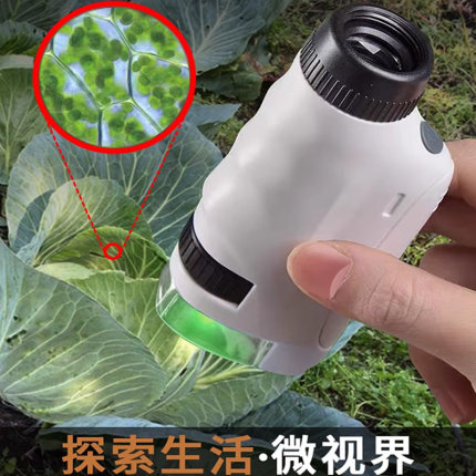 可看细菌便携式中小学生男孩昆虫标本专用玩具儿童科学实验显微镜