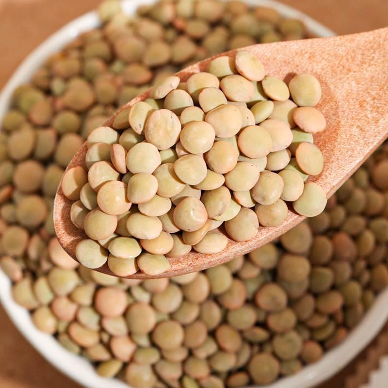 小扁豆500g金豌豆健身主食五谷杂粮甘肃绿扁豆Lentils发豆芽兵豆