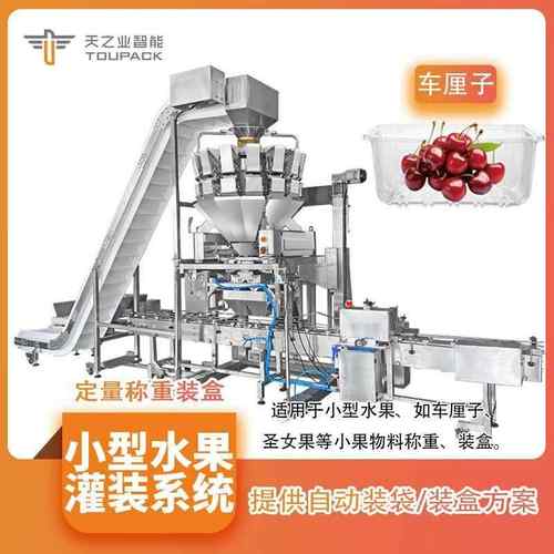 小水果灌装系统 全自动金桔冬枣计量灌装机车厘子小型水果灌装机