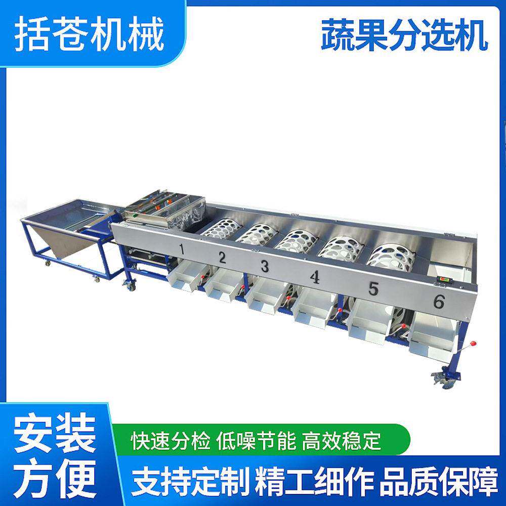 新款水池清洗分级一体机柑橘砂糖橘不伤果移动方便省电