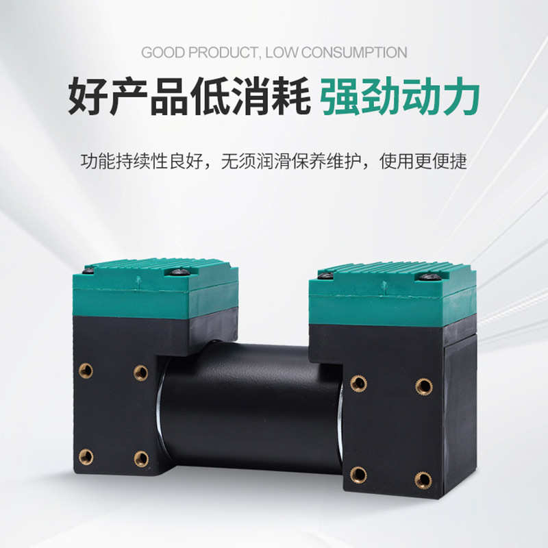 2AP51无油真空泵负压吸气泵微型气泵直流双头隔膜泵美容汽车按摩