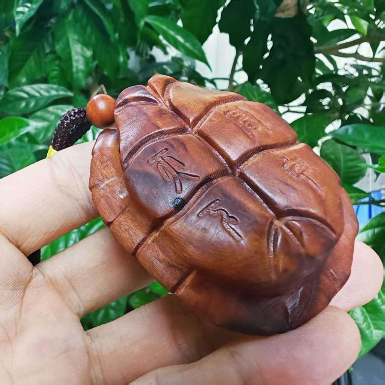 天然雷击木富甲枣木文玩手把木雕龟壳摆件富甲一方把玩件手把件