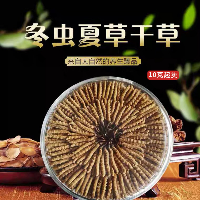 新日期西藏虫草那曲冬虫夏草礼盒装1000头规格2）一克（30克起卖