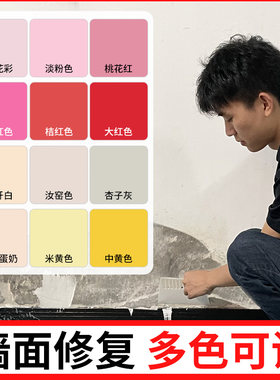 粉色乳胶漆墙面修复红色浅粉珊瑚修补膏墙壁可调补墙膏彩色补墙漆