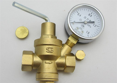 自来水减压阀门净水器管路稳压阀带压力表热净水器减压阀4分6分