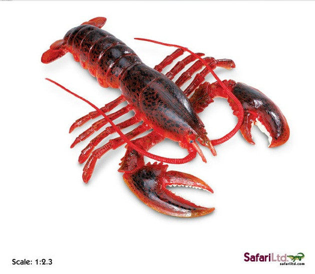 龙虾模型美国Safari 正品仿真动物模型玩具欧美教学模型场景道具