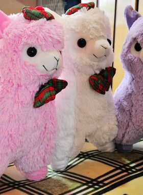 包邮！日单 超萌 大眼睛 Arpakasso/Amuse 羊驼 大号公仔 55cm