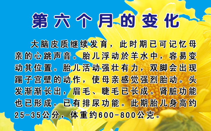 海报印制208海报展板素材(制作)1376 胎儿九个月发育的变化