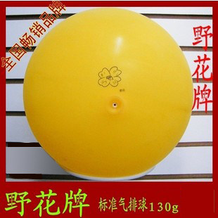 Ballon de volley-ball - Ref 2012038 Image 1