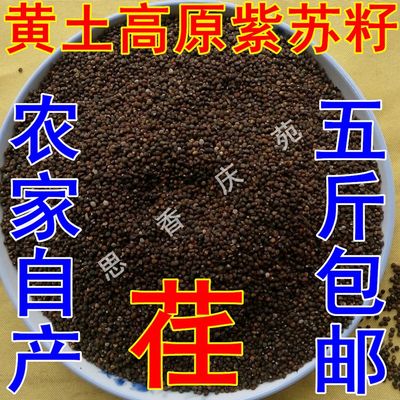 西北甘肃土特产500g苏籽