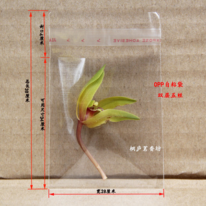 OPP自粘袋塑料袋 透明包装袋 28*38厘米10.5元/100个满100元包快