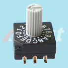 高品质8421旋转开关/10*10/电源开关贴片编码开关/RM32714