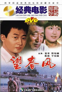 【原装★正版】经典电影：【望春风】童非于绍康陈裕德 DVD