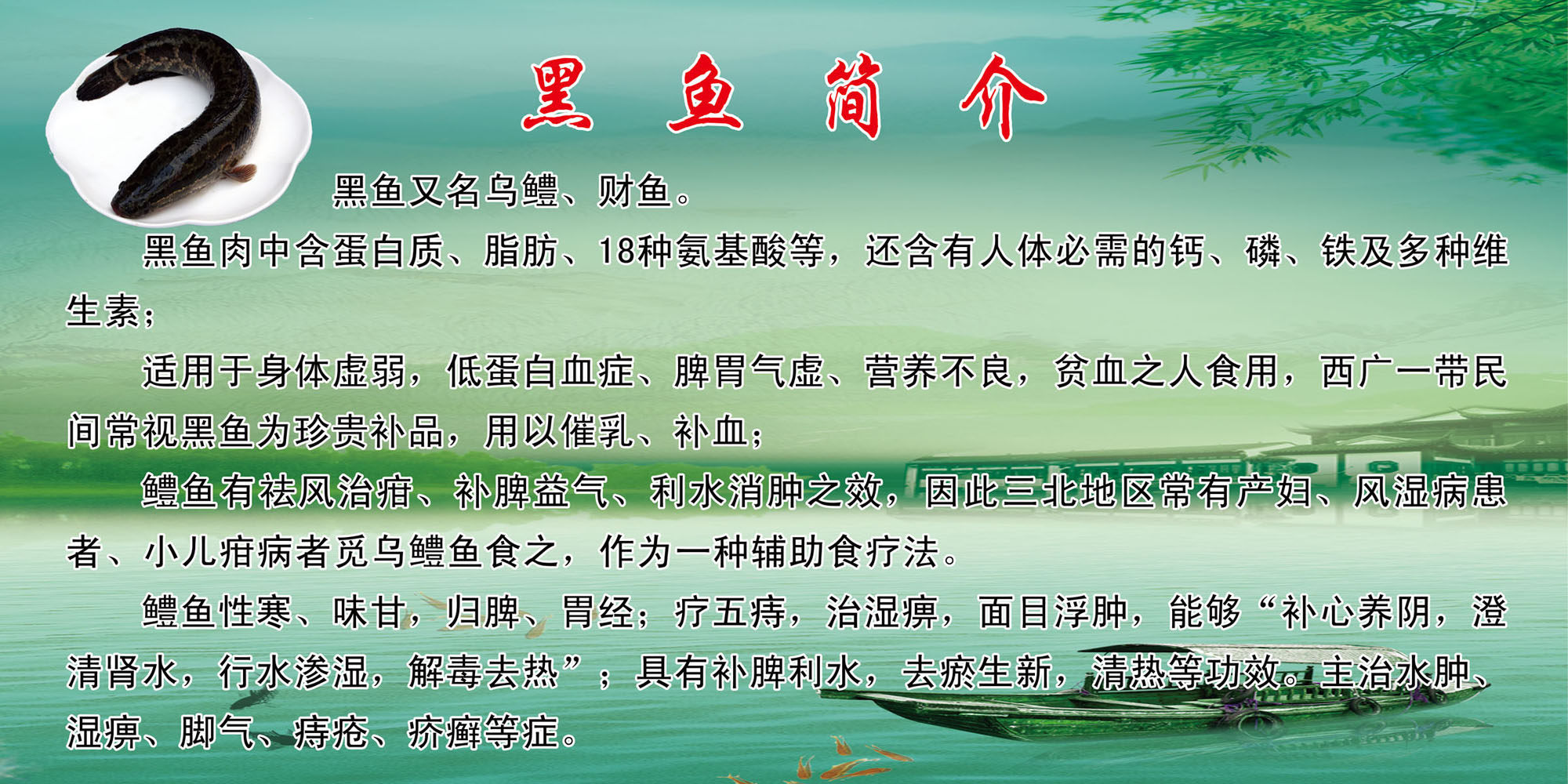 海报印制665展板素材975饮食文化黑鱼简介