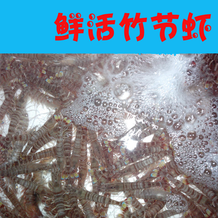 兰州老李海鲜 鲜活基围虾/竹节虾