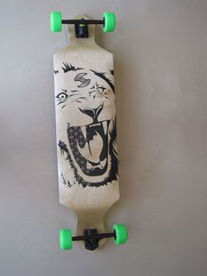 Skateboard pour homme femme enfant OTHER   - Ref 2601730 Image 47