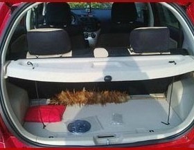 腾翼C20R隔板 C20遮物帘 C20R后备箱隔板 哈弗H1隔板挡板专用改装