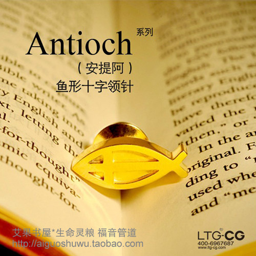 Broche femme en Titanium acier - Ref 1178602 Image 1