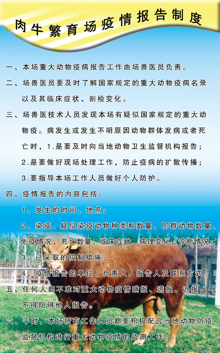 海报印制414设计服务海报展板素材25肉牛繁育场疫情报告制度 个性定制/设计服务/DIY 写真/海报印制 原图主图